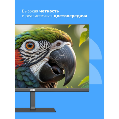 Монитор 23.8" CBR ME-2401  IPS  100Гц  HDMI VGA  купить в Инфотех