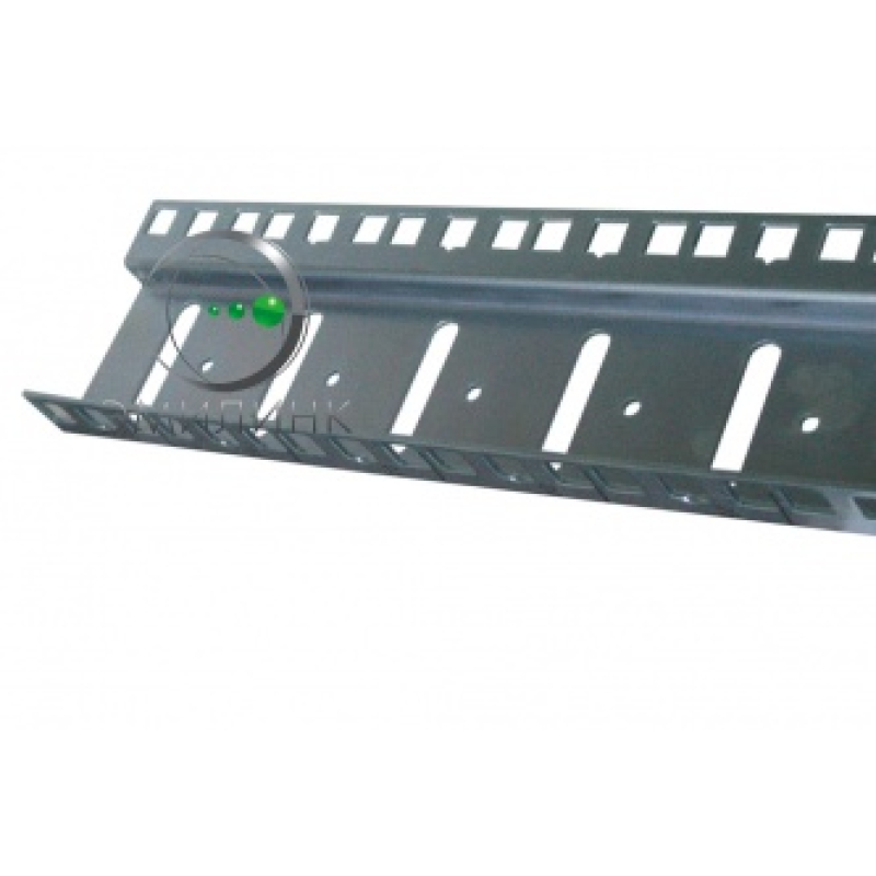 Направляющие для шкафов 19" 6U (ПАРА)  купить в Инфотех